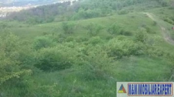 teren-extravilan-2500-mp-de-vanzare-in-boteni-arges-oportunitate-pentru-investitii-agricole-6