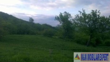 teren-extravilan-2500-mp-de-vanzare-in-boteni-arges-oportunitate-pentru-investitii-agricole-8