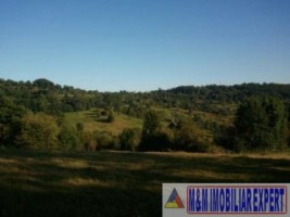 eren-extravilan-2-ha-de-vanzare-in-albestii-de-muscel-candesti-oportunitate-pentru-investitii-agricole