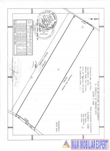 teren-extravilan-1032-ha-de-vanzare-in-cernica-ilfov-ideal-pentru-investitii-3