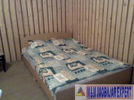 vila-3-camere-cabana-la-munte-cu-teren-de-1500-mp-de-vanzare-in-dambovicioara-arges-locatie-perfecta-pentru-relaxare-4