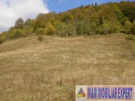 teren-intravilan-13-ha-de-vanzare-rucar-satic-arges-ideal-pentru-proiecte-turistice-sau-rezidentiale-1