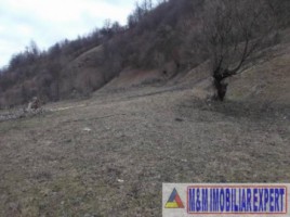 teren-extravilan-1-ha-de-vanzare-in-dragoslavele-arges-ideal-pentru-proiecte-agricole-sau-de-investitie-5