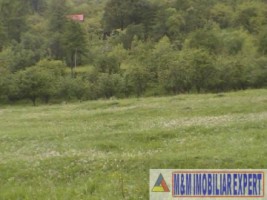 teren-intravilan-de-1-ha-de-vanzare-in-corbi-arges-ideal-pentru-constructii-sau-activitati-agricole-1