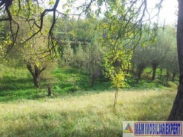 teren-2942-mp-parcelat-2-loturi-valea-mare-pravat-arges-13