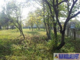 teren-2942-mp-parcelat-in-2-loturi-in-valea-mare-pravat-oportunitate-de-investitie-intr-o-zona-atractiva-15