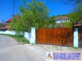 vila-tip-conac-boieresc-teren-4-ha-de-vanzare-in-sard-alba-iulia-ideala-pentru-proiecte-exclusiviste-6