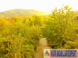 vila-tip-conac-boieresc-teren-4-ha-de-vanzare-in-sard-alba-iulia-ideala-pentru-proiecte-exclusiviste-7