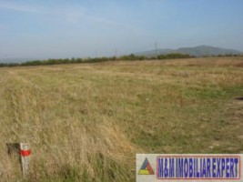 teren-intravilan-3800-mp-mioveni-arges-ideal-pentru-constructii-rezidentiale