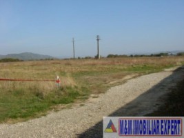 teren-intravilan-3800-mp-mioveni-arges-ideal-pentru-constructii-rezidentiale-6