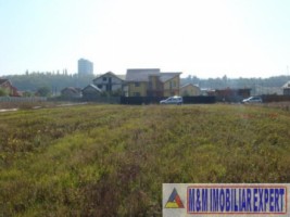 teren-intravilan-3800-mp-mioveni-arges-ideal-pentru-constructii-rezidentiale-1