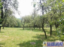 teren-intravilan-de-vanzare-3500-mp-in-marcus-campulung-muscel-arges-ideal-pentru-proiecte-rezidentiale-si-investitii-1