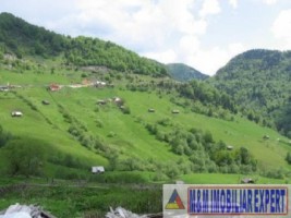 teren-intravilan-de-1-ha-parcelabil-in-valea-urdii-dambovicioara-arges-ideal-pentru-dezvoltari-rezidentiale-si-turistice