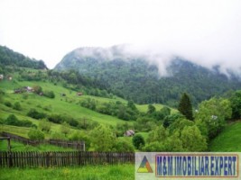 teren-intravilan-de-1-ha-parcelabil-in-valea-urdii-dambovicioara-arges-ideal-pentru-dezvoltari-rezidentiale-si-turistice-1