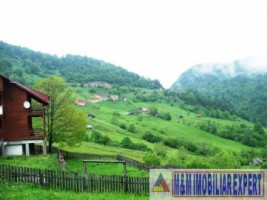 teren-intravilan-de-1-ha-parcelabil-in-valea-urdii-dambovicioara-arges-ideal-pentru-dezvoltari-rezidentiale-si-turistice-2