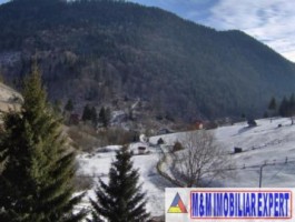 teren-intravilan-de-1-ha-parcelabil-in-valea-urdii-dambovicioara-arges-ideal-pentru-dezvoltari-rezidentiale-si-turistice-9