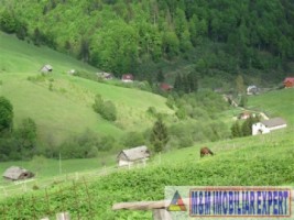 teren-intravilan-de-1-ha-parcelabil-in-valea-urdii-dambovicioara-arges-ideal-pentru-dezvoltari-rezidentiale-si-turistice-3