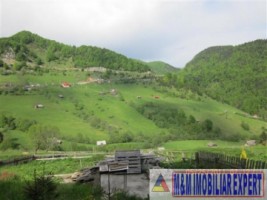 teren-intravilan-de-1-ha-parcelabil-in-valea-urdii-dambovicioara-arges-ideal-pentru-dezvoltari-rezidentiale-si-turistice-4