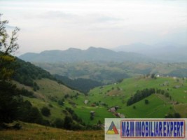 teren-intravilan-de-1-ha-parcelabil-in-valea-urdii-dambovicioara-arges-ideal-pentru-dezvoltari-rezidentiale-si-turistice-5