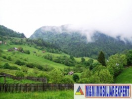 teren-intravilan-de-1-ha-parcelabil-in-valea-urdii-dambovicioara-arges-ideal-pentru-dezvoltari-rezidentiale-si-turistice-6