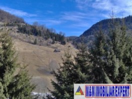 teren-intravilan-de-1-ha-parcelabil-in-valea-urdii-dambovicioara-arges-ideal-pentru-dezvoltari-rezidentiale-si-turistice-8