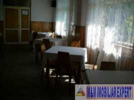 cabana-cu-7-camere-si-teren-de-5000-mp-in-muntii-leaota-cetateni-arges-oportunitate-pentru-relaxare-si-investitie-turistica-14