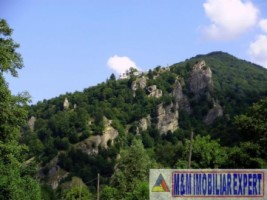 cabana-cu-7-camere-si-teren-de-5000-mp-in-muntii-leaota-cetateni-arges-oportunitate-pentru-relaxare-si-investitie-turistica-22