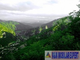 cabana-cu-7-camere-si-teren-de-5000-mp-in-muntii-leaota-cetateni-arges-oportunitate-pentru-relaxare-si-investitie-turistica-24