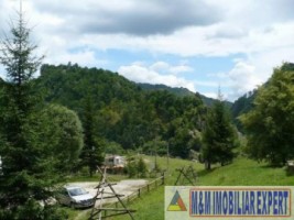 cabana-cu-7-camere-si-teren-de-5000-mp-in-muntii-leaota-cetateni-arges-oportunitate-pentru-relaxare-si-investitie-turistica-19