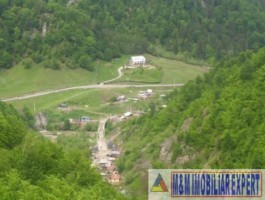 cabana-cu-7-camere-si-teren-de-5000-mp-in-muntii-leaota-cetateni-arges-oportunitate-pentru-relaxare-si-investitie-turistica-20