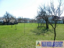 de-vanzare-vila-3-camere-cu-teren-de-2000-mp-stalpeni-arges-ideala-pentru-resedinta-de-familie-sau-casa-de-vacanta-7