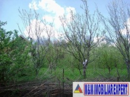 teren-intravilan-de-vanzare-3800-mp-in-apa-sarata-campulung-muscel-arges-ideal-pentru-proiecte-rezidentiale