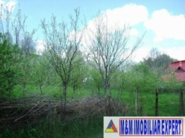 teren-intravilan-de-vanzare-3800-mp-in-apa-sarata-campulung-muscel-arges-ideal-pentru-proiecte-rezidentiale-3