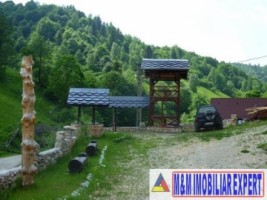 vila-9-camere-pensiune-teren-5250-mp-moieciu-bran-bv-13