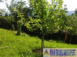 apartament-cu-3-camere-in-vila-cu-teren-de-477-mp-de-vanzare-in-valea-doftanei-prahova-ideal-pentru-locuinta-sau-vacanta-5