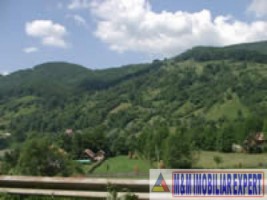 apartament-cu-3-camere-in-vila-cu-teren-de-477-mp-de-vanzare-in-valea-doftanei-prahova-ideal-pentru-locuinta-sau-vacanta-6