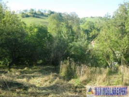 teren-extravilan-8000-mp-cu-livada-in-valea-romanestilor-campulung-muscel-arges-ideal-pentru-agricultura-si-investitie-3