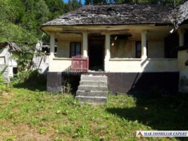 casa-batraneasca-stoenesti-teren-2900-mp-stoenesti-13