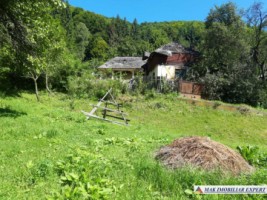 casa-batraneasca-stoenesti-teren-2900-mp-stoenesti-21