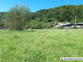 casa-batraneasca-stoenesti-teren-2900-mp-stoenesti-22