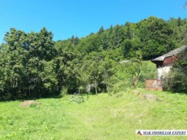 casa-batraneasca-stoenesti-teren-2900-mp-stoenesti-24
