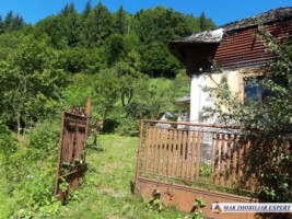 casa-batraneasca-stoenesti-teren-2900-mp-stoenesti-26