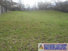 teren-de-vanzare-2000-mp-intravilan-valea-mare-pravat-arges-ideal-pentru-proiecte-rezidentiale