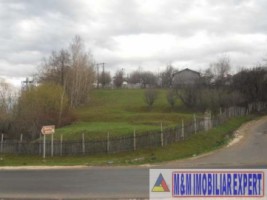 teren-de-vanzare-2000-mp-intravilan-valea-mare-pravat-arges-ideal-pentru-proiecte-rezidentiale-2