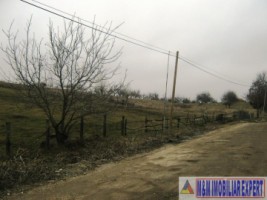 teren-extravilan-2500-mp-de-vanzare-in-boteni-arges-ideal-pentru-investitii-agricole-3