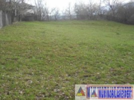 teren-parcelabil-1-ha-intravilan-valea-mare-pravat-arges-ideal-pentru-proiecte-mari