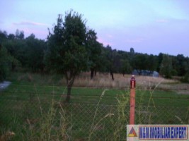 teren-parcelabil-1-ha-intravilan-valea-mare-pravat-arges-ideal-pentru-proiecte-mari-1