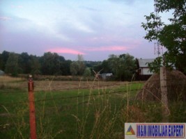 teren-parcelabil-1-ha-intravilan-valea-mare-pravat-arges-ideal-pentru-proiecte-mari-2