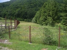 teren-intravilan-3500-mp-de-vanzare-in-rucar-arges-ideal-pentru-dezvoltari-rezidentiale