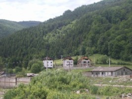 teren-intravilan-3500-mp-de-vanzare-in-rucar-arges-ideal-pentru-dezvoltari-rezidentiale-1